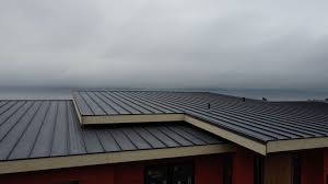 Best Green or Eco-Friendly Roofing Solutions  in St Paul Park, MN